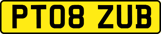 PT08ZUB