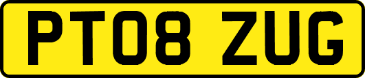 PT08ZUG