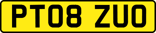 PT08ZUO