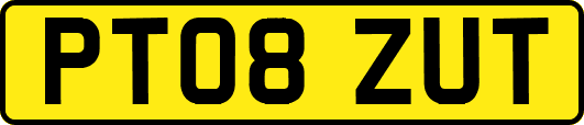 PT08ZUT