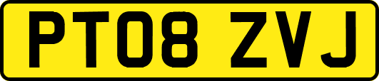 PT08ZVJ