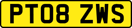 PT08ZWS