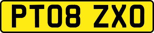 PT08ZXO
