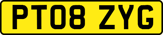 PT08ZYG