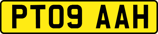 PT09AAH