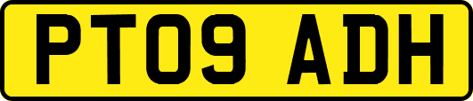PT09ADH
