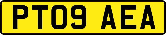 PT09AEA