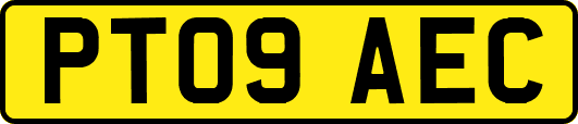 PT09AEC