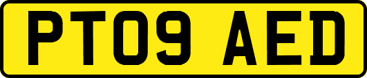 PT09AED