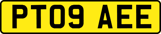 PT09AEE