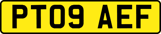 PT09AEF