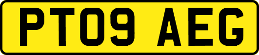 PT09AEG