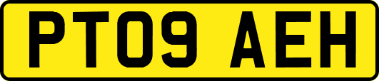 PT09AEH