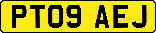 PT09AEJ