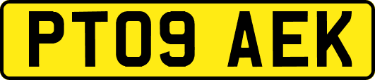 PT09AEK