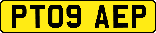 PT09AEP
