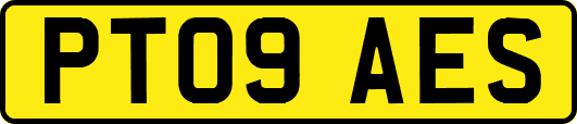 PT09AES