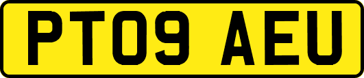 PT09AEU