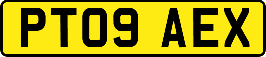 PT09AEX
