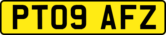PT09AFZ