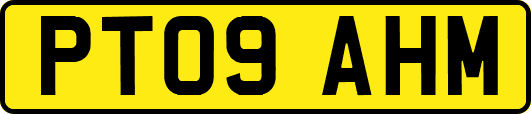 PT09AHM