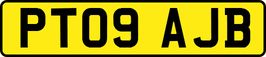 PT09AJB