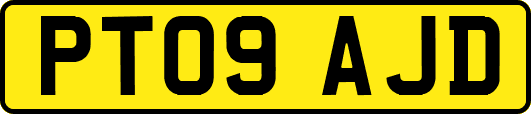 PT09AJD