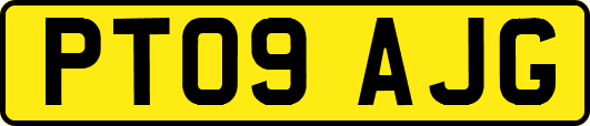 PT09AJG