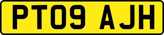 PT09AJH