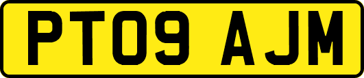PT09AJM