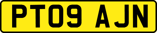 PT09AJN