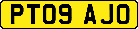 PT09AJO