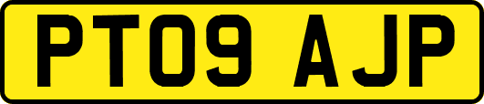 PT09AJP