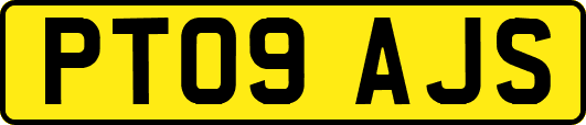 PT09AJS