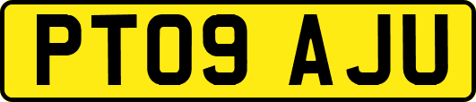 PT09AJU