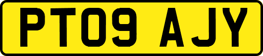 PT09AJY
