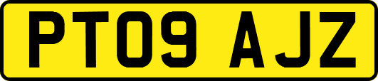 PT09AJZ