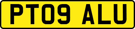 PT09ALU