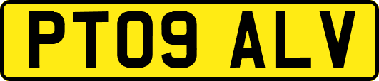 PT09ALV