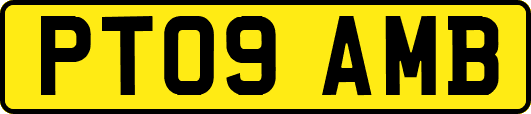 PT09AMB