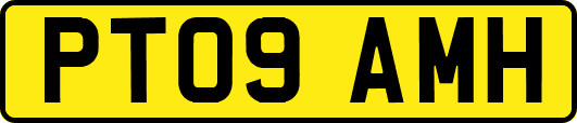 PT09AMH