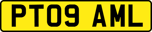 PT09AML