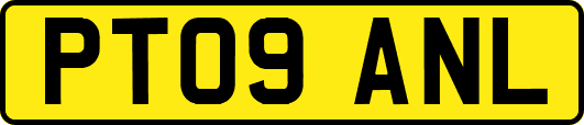 PT09ANL