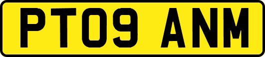 PT09ANM
