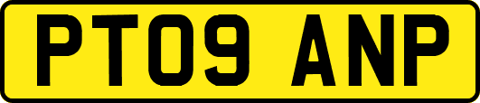 PT09ANP