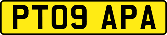 PT09APA