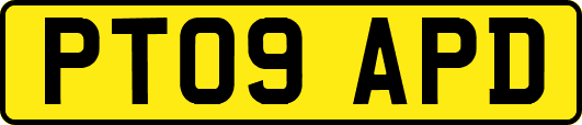 PT09APD