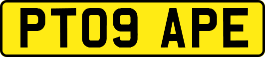 PT09APE
