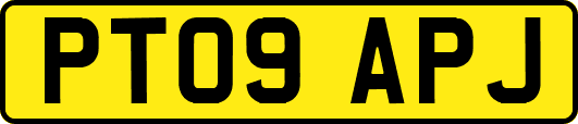 PT09APJ