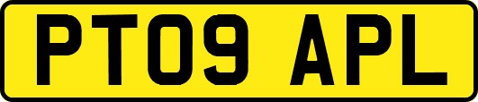 PT09APL